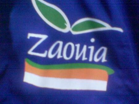 symbole of zaouia